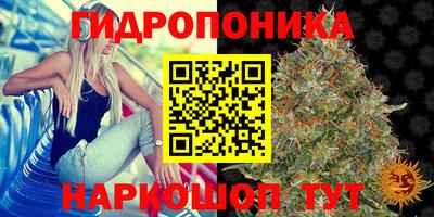 прущие грибы Ливны