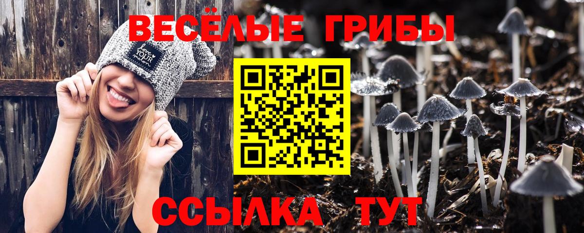 Галлюциногенные грибы Psilocybe  Вход с VPN  наркота  Избербаш 
