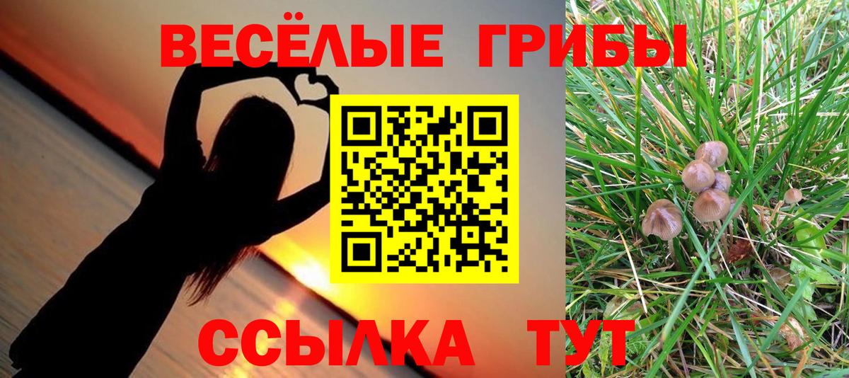 Псилоцибиновые грибы Psilocybe Избербаш